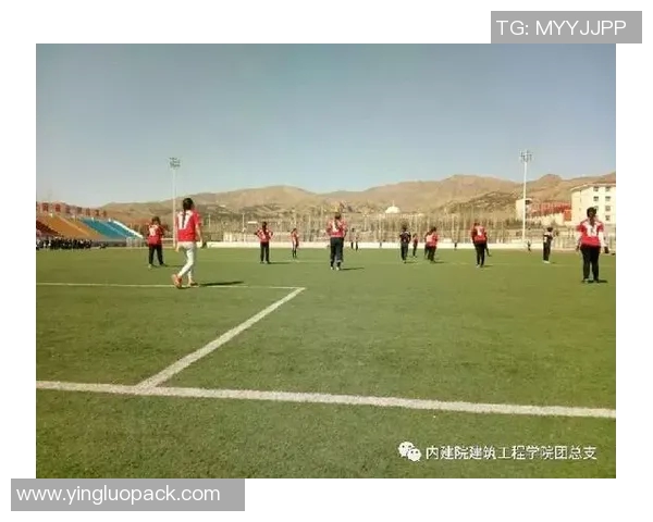 足球盛宴：深入了解西安足球队如何实现卓越团队协作与默契配合