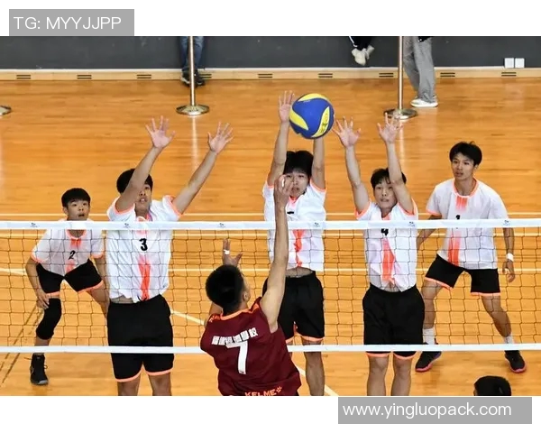 赵秀英独家分享排球心得与技巧助你提升竞技水平与团队协作能力