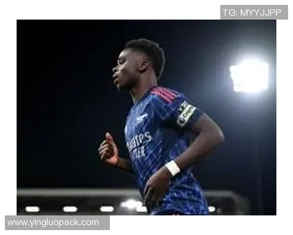 伯恩茅与埃弗顿专家分析赛前形势及关键球员表现