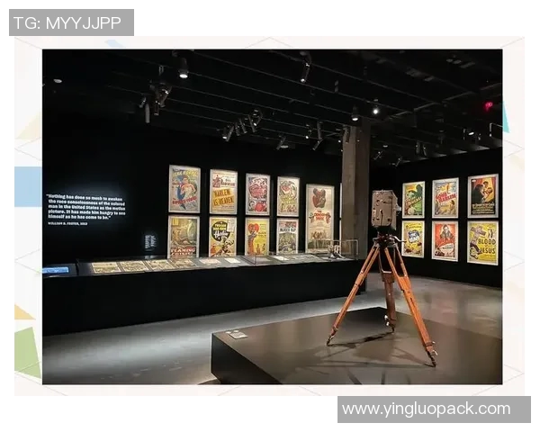 圣马丁与大学生的碰撞：探索青春与梦想的交汇点