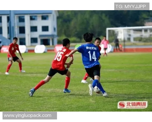 美洲狮与墨西哥足球赛精彩直播全程回顾与分析