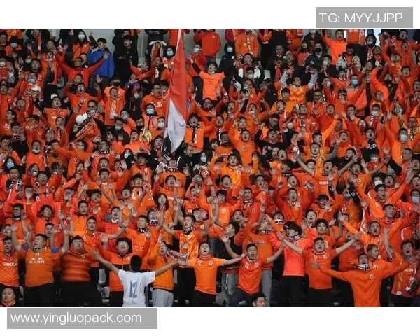 猛龙与热火首战激烈对决球星表现引发球迷热议