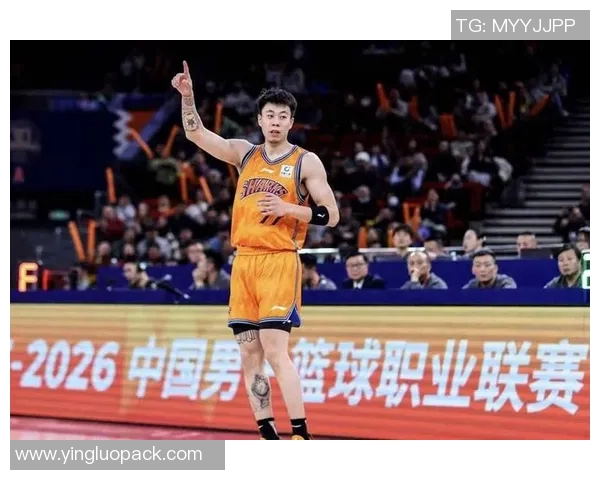 张镇麟的篮球之路：从青涩少年到CBA明星的奋斗历程与成长故事