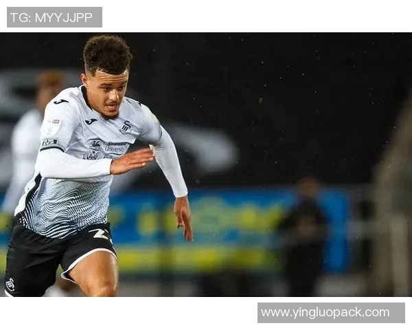 汉堡与奥厄对决前瞻分析及赛果预测详解