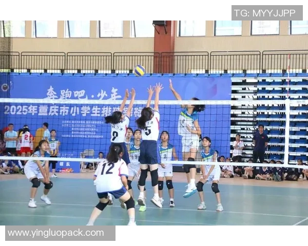 黄敏专访：从排球小将到国家队明星的奋斗与成长之路MBA