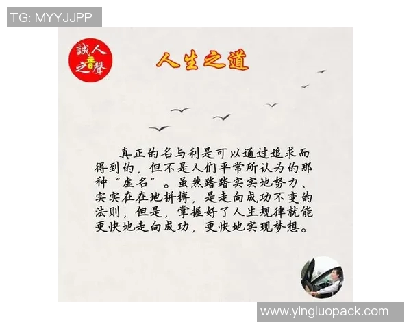 张宁的奋斗历程与成就探析：从平凡到卓越的精彩人生之路