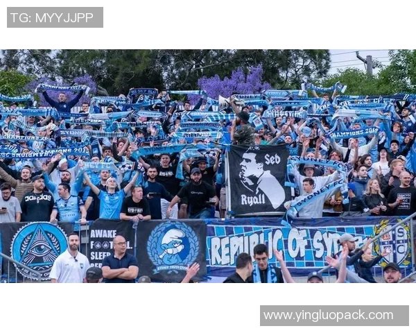 悉尼流浪者与悉尼的激烈对决揭示城市足球的竞争魅力与未来发展潜力