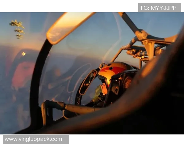 李观洋与头盔视频的对决引发热议背后的真相与影响分析