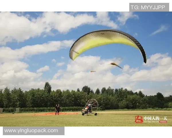 北京极限运动队的创新运营模式与发展策略探讨MBA