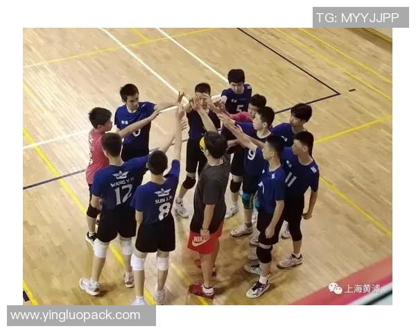 上海排球队创新高排球配合排名再攀新高峰