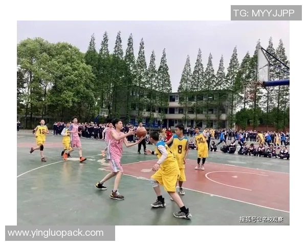 成都篮球队的拼搏之路：一段不屈奋斗的纪实故事