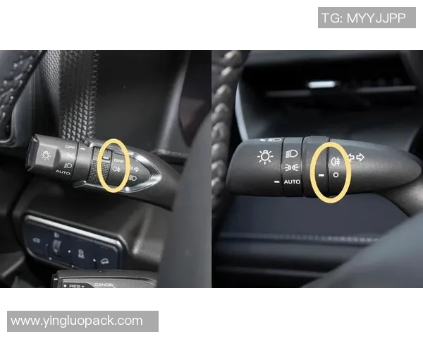 张静独家分享网球心得与技巧助你提升球技的全面指南