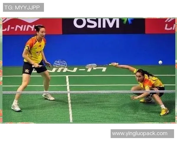 深入分析西安羽毛球队区域防守战术的特点与应用策略