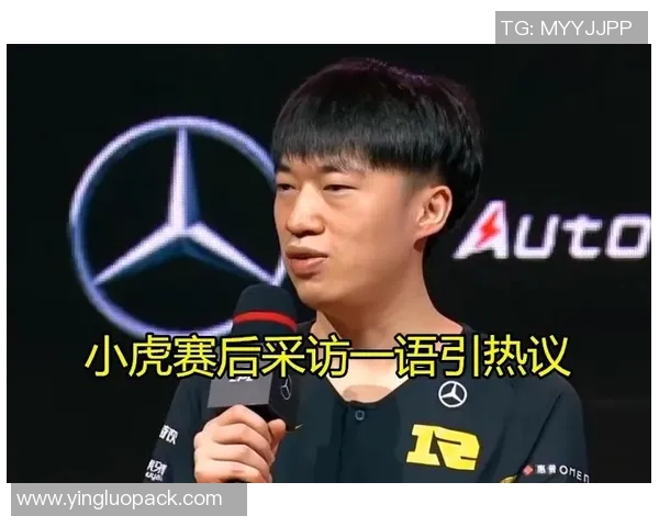 赛后分析V5与RNG在比赛中的团队协作与战术执行探讨