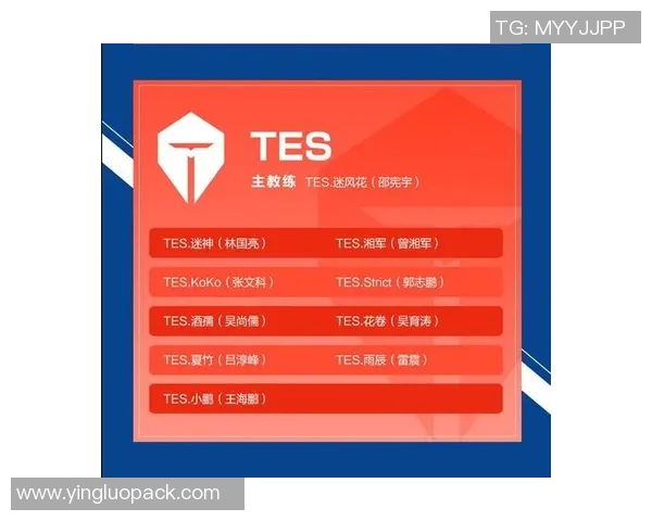聚焦王者荣耀TES战队节奏分析与战术探讨的深度剖析